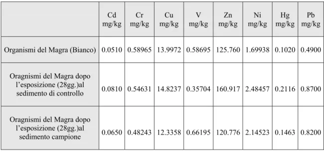 Tabella 3.7. Concentrazioni di metalli (mg/kg)rilevate nei tessuti degli organismi del Magra al tempo zero 