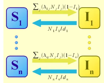 Figura 1.13 - Schema compartimentale SIS a n gruppi