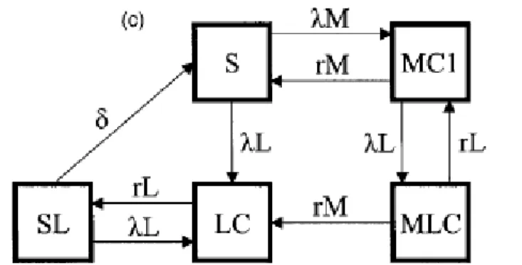 Figura 4. 2: Schema compartimentale del modello di Coen et al.