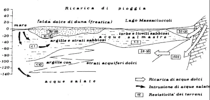 Figura 2.3.1:  Schema della circolazione ipogea in corrispondenza del lago di Massaciuccoli  (Ghezzi, 1986) 
