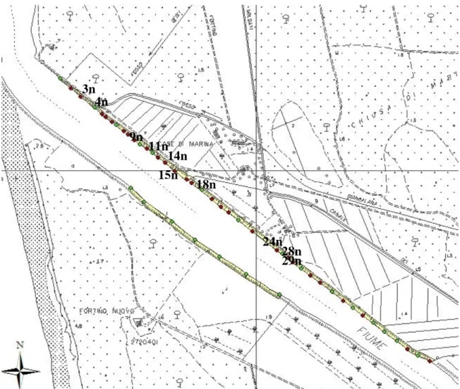 Figura I.2: Profili n°: 3, 4, 9, 11, 14, 15, 18, 24, 26, 28, 29 sponda Nord. 3n 4n 9n 11n 14n 15n 18n 24n 28n 29n 