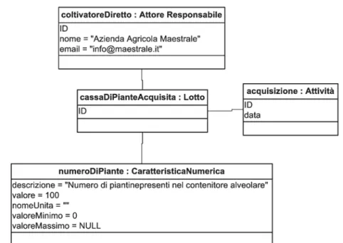 Figura 20 Struttura statica per cassa di piante acquisita 