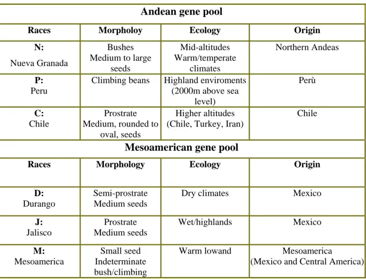 Tab. 2: descrizione delle principali razze, mesoamericane ed andine, di Phaseolus vulgaris