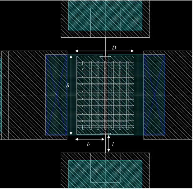 FIGURA 2.3:  Ingrandimento del layout, contenente un singolo risonatore. 