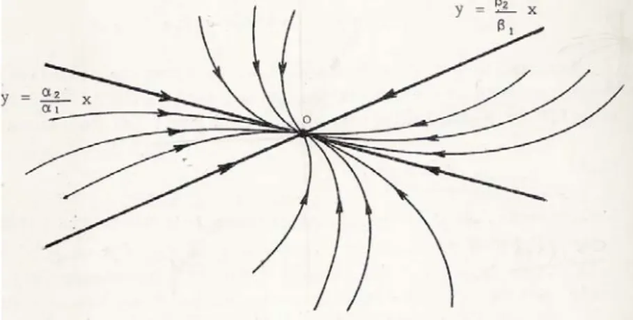 Figure 2: Traiettorie per un nodo stabile sul piano delle fasi