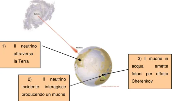Fig. 1.2 Rilevazione dei neutrini 1) Il  neutrino attraversa la Terra 2)    Il  neutrino incidente  interagisce producendo un muone  3)  Il  muone  in acqua emette fotoni  per  effetto Cherenkov 
