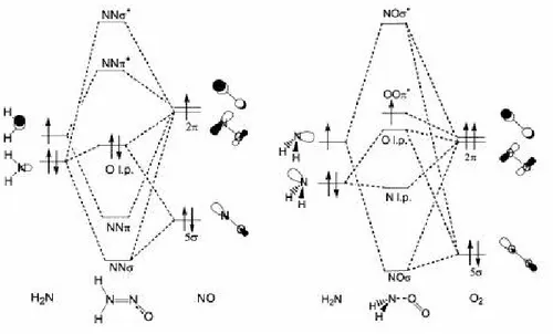 figura 2.1 [20]  – Struttura molecolare dei complessi H