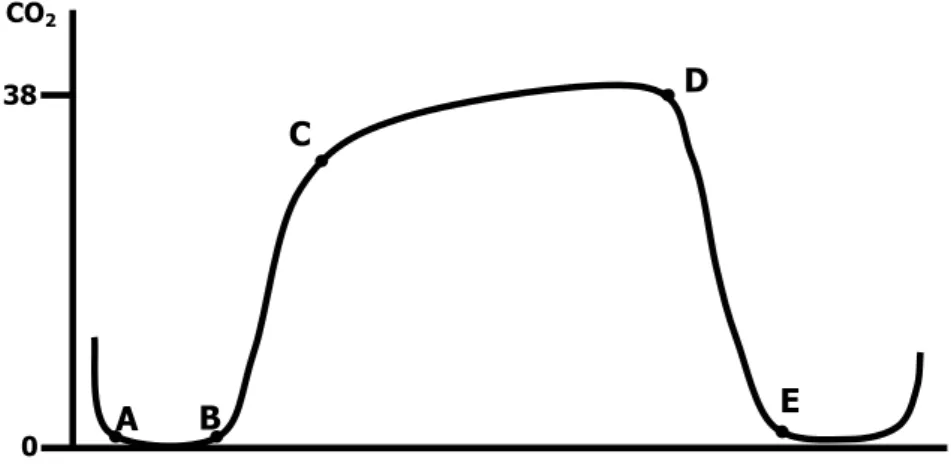 Figura 3.1: Curva del capnografo 