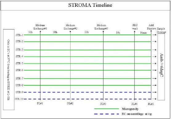 Figura 1-1 STROMA Timeline