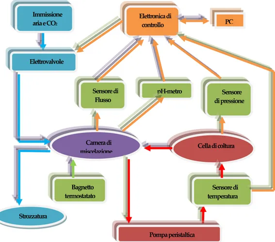 Figura 3-6: Schema controllo bioreattore. 