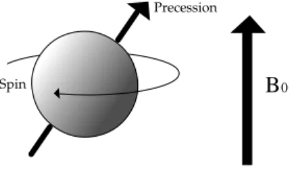 Figura 1.3: Movimento di precessione del nucleo atomico