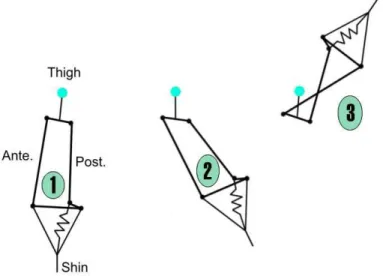 Fig. 2-3: Kinematic of the prostheses 3R60 