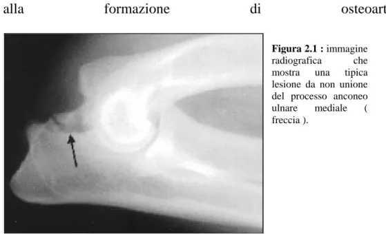 Figura 2.1 : immagine 