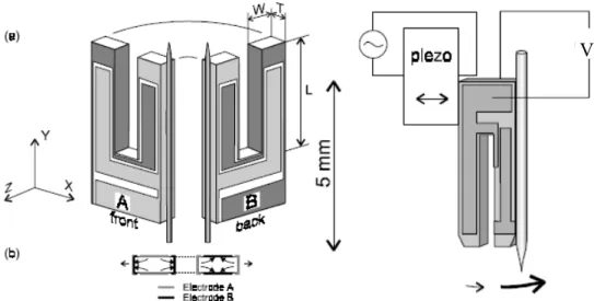 Figura 7 - Schema di montaggio di una tuning fork con la fibra e il sistema di  controllo