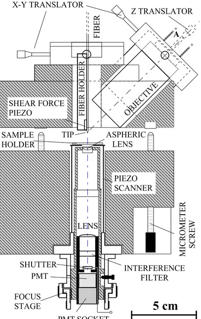 Figura 8 – Schema tecnico della testa e della base del microscopio SNOM rappresentate in sezione verticale [16]