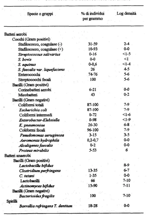 Tabella 1.4 – Stima della flora batterica nelle feci umane 