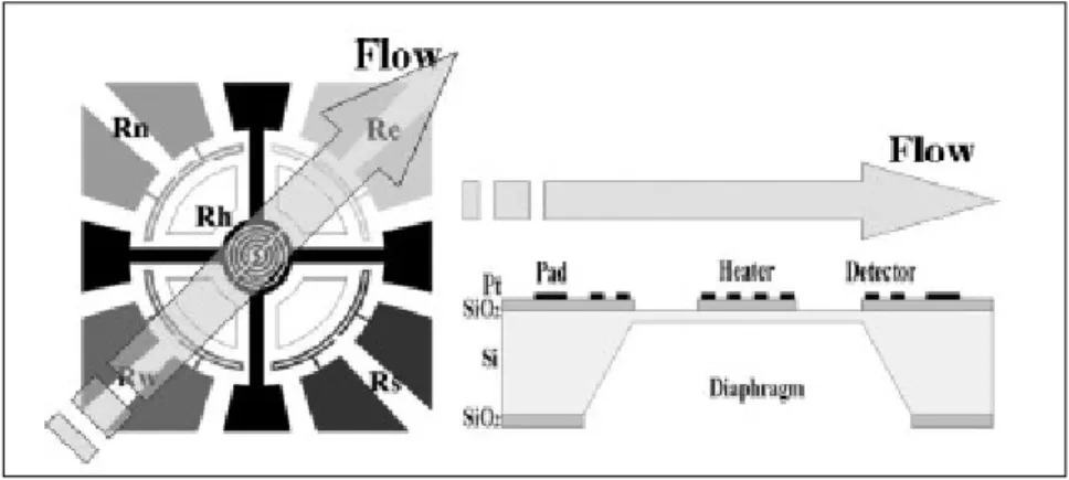 Figura 1.11 Struttura del sensore di vento proposto da S.Kim et al. 