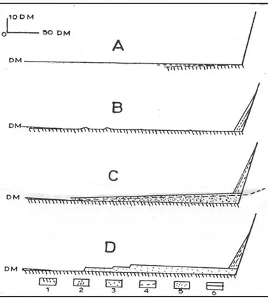 Figura  3:  Diversi  aspetti  della  base  della  Scarpata  Costiera  nel  nord  del  Cile  (da  Paskoff, 1979) 
