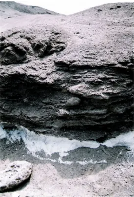 Figura 6: Depositi alluvionali e colluviali antichi con intercalato uno strato di cenere vulcanica  bianca 