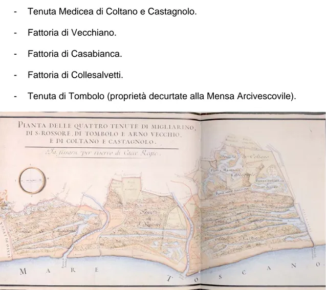 Fig. 87 Pianta delle tenute di Migliarino, San Rossore, Tombolo, Arno Vecchio, Coltano, e  Castagnolo