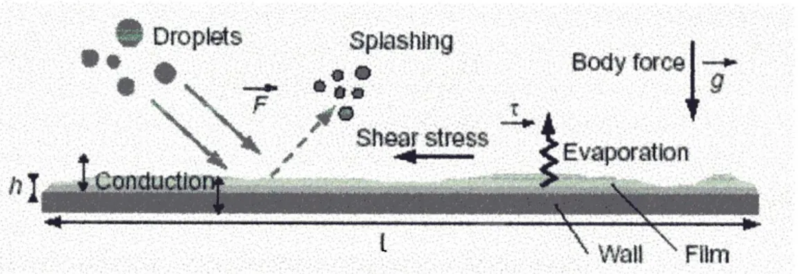 Figura 9.1: Meccanismi fisici che influenzano il film liquido.