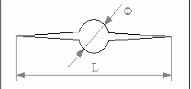 Figura 7.11 – Geometria dell’intaglio 