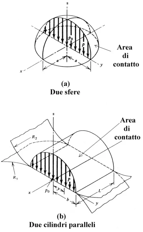 Figura 2.10: Superfici di contatto secondo la teoria di Hertz nel caso: (a)Due sfere, (b)Due cilindri.