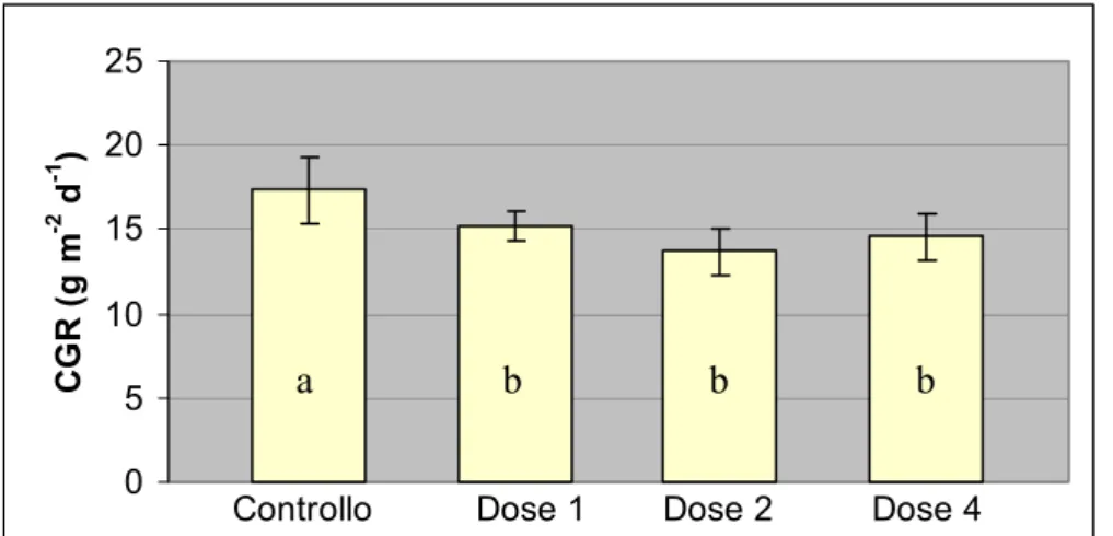 Fig. 13:  Valori di CGR dopo tre mesi dal trattamento per via fogliare con 1, 2 e 4 ml/l di  Topflor  (lettere diverse indicano differenze significative per p&lt;0.05 LSD test; 