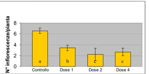 Fig. 20:  Numero medio di infiorescenze per pianta dopo cinque mesi dal trattamento per  via fogliare con 1, 2 e 4 ml/l di Topflor  (lettere diverse indicano differenze significative per p&lt;0.05 