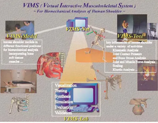 Figura 2.3 Il Virtual Interactive Musculoskeletal System (VIMS) 