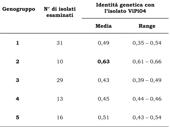 Tabella III.4: Media e range dell’identità genetica tra l’isolato  ViPi04 (3774 nucleotidi) e 99 isolati classificati nei genogruppi  1-5 di TTV