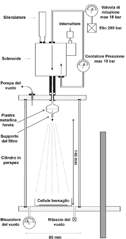 Figura 3. Rappresentazione schematica della struttura del particle gun