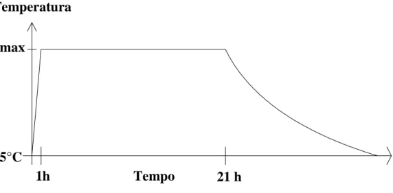 Figura 3.7: Profilo di temperatura. 