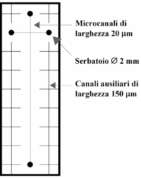 Figura 4.7 Negativo maschera microcanali. 