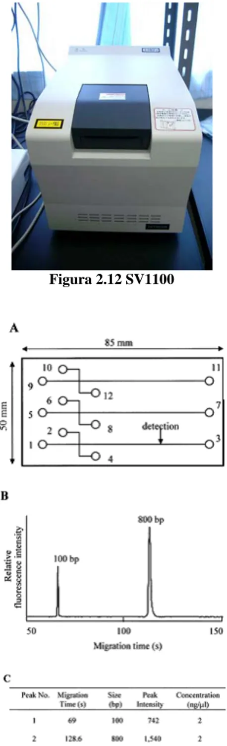 Figura 2.12 SV1100 