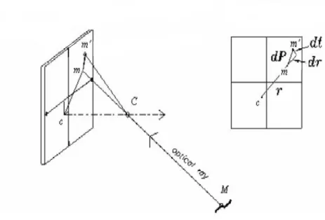 Figura 3.3: distorsione radiale e tangenziale introdotta dalle lenti. 
