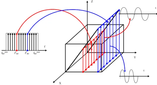 Figura B-41 – Applicazione di un gradiente nella direzione dell’asse y 