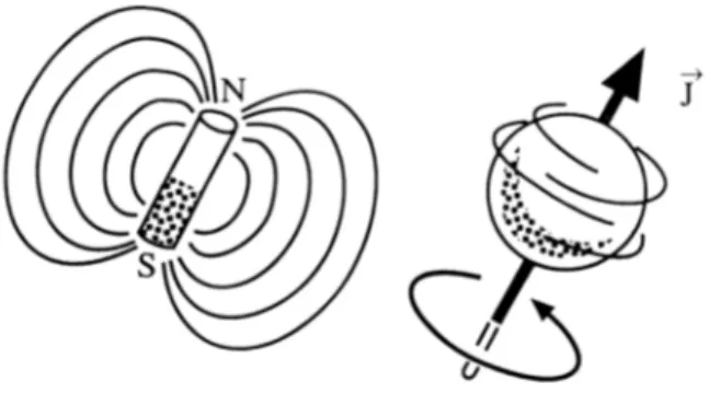 Figura B-35 – Momento magnetico associato ad un nucleo con momento angolare 