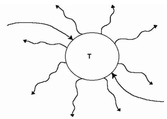 Figura 1.2 – Corpo che emette e riceve radiazioni elettromagnetiche 