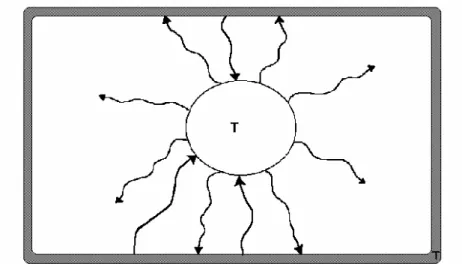 Figura 1.3 – Corpo all' interno di un involucro che si trova alla stessa temperatura T 