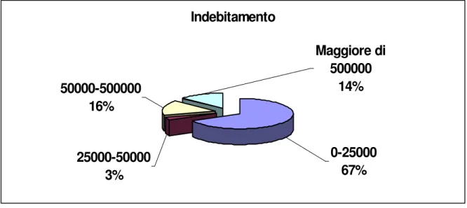 Figura 13 - L’indebitamento nelle aziende operanti da meno di 3 anni 