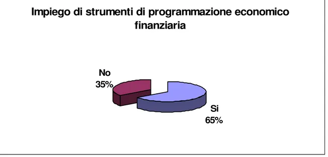 Figura 18 - Aziende che utilizzano strumenti di programmazione economico finanziaria 