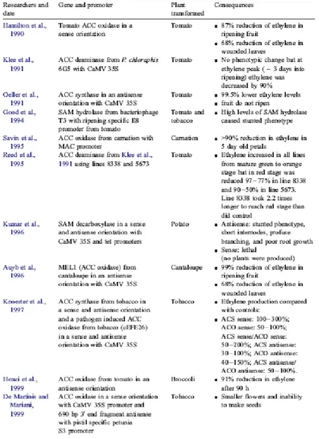 Tabella 1.3.1 – Piante modificate geneticamente per la sintesi di etilene  (in ordine cronologico).
