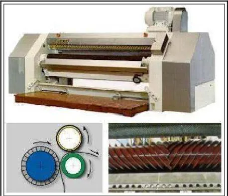 Figura 1.1.1.2: Scarnatrice; disposizione dei principali rulli; particolare del cilindro a lame 