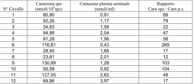 Tabella n° 1: concentrazioni di Carnosina in spermatozoi (nmoli/10 9  spz) e in plasma seminale [p.s.]  (nmoli/ml) nel seme fresco di cavallo