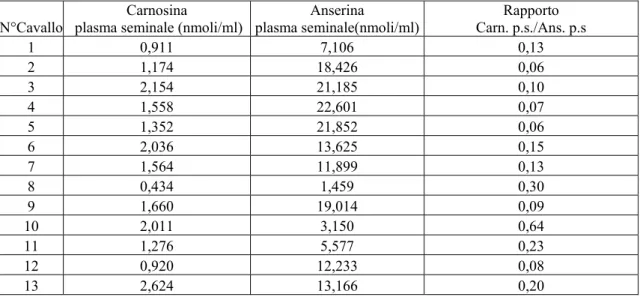 Tabella n° 4: concentrazioni di Carnosina (nmoli/ml) e di Anserina (nmoli/ml) nel plasma seminale  (p.s.) di seme fresco di cavallo