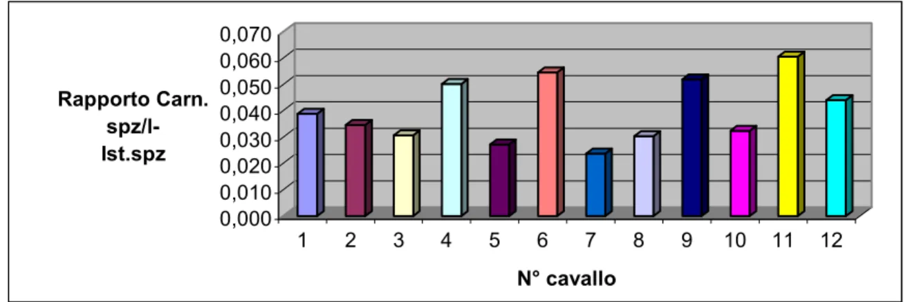 Figura n°5: rapporto tra le concentrazioni intraspermatiche di Carnosina (nmoli/10 9  spz) e l-Istidina   (nmoli/10 9 spz) nel seme fresco di cavallo