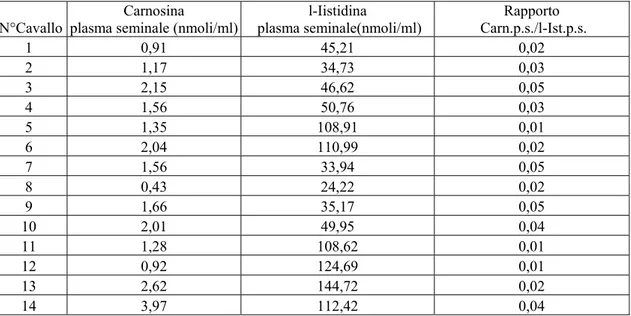 Tabella n° 6: concentrazioni di Carnosina  (nmoli/ml)e di l-Istidina (nmoli/ml) nel plasma seminale  (p.s.) di seme fresco di cavallo