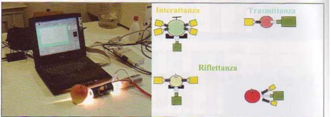 Fig. 4- Strumentazione portatile NIRs. Le strumentazioni impiegate lavorano in tre 