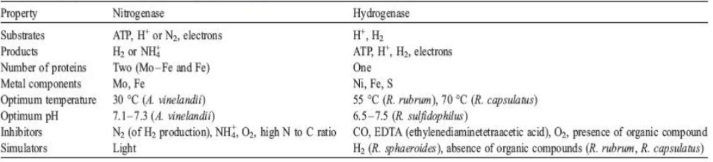 Tab. 1.2: Caratteristiche degli enzimi 